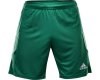 Futbolo šortai adidas Squodra 13 Shorts WB (vaikiški)